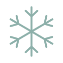snowflake (2)